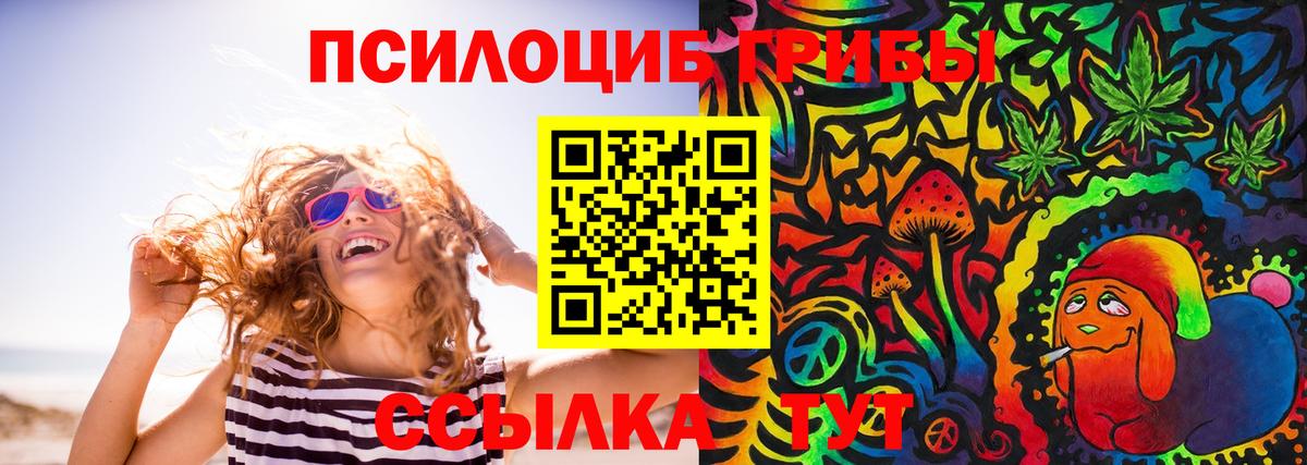 Галлюциногенные грибы MAGIC MUSHROOMS Черняховск